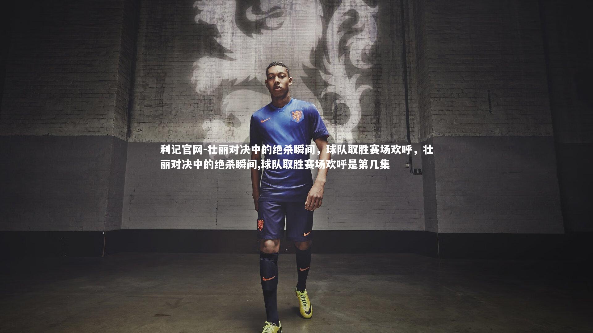 利记官网-壮丽对决中的绝杀瞬间，球队取胜赛场欢呼，壮丽对决中的绝杀瞬间,球队取胜赛场欢呼是第几集